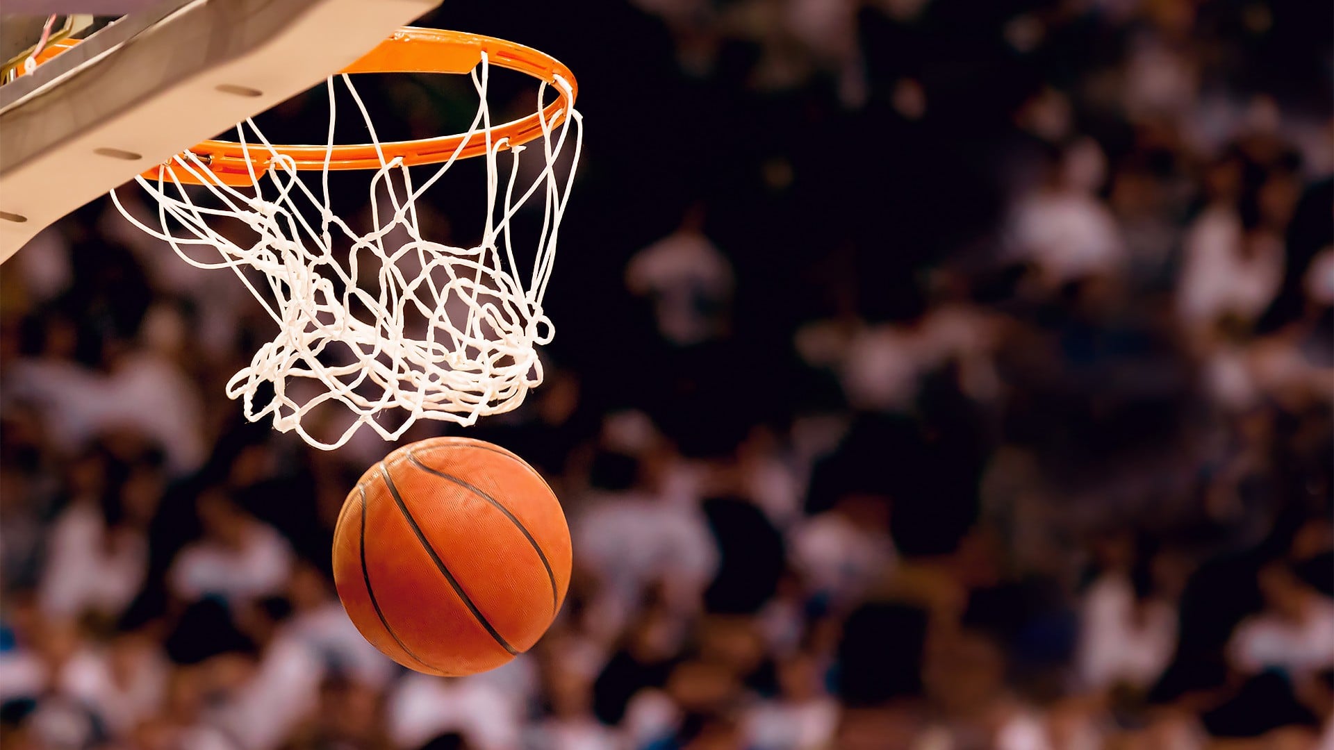 OrrecoがSportradarを通じてNBA公式データを統合